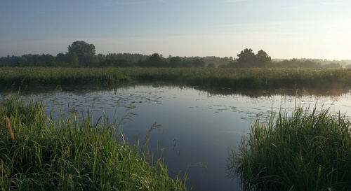 SIELPIA/ŚWIĘTOKRZYSKIE