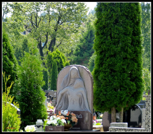 cmentarz #CmentarzWŚwiebodzicach