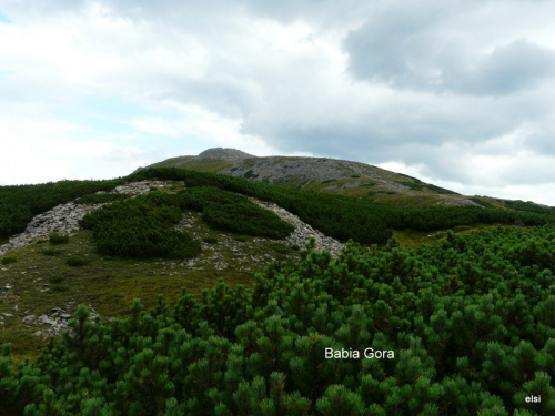 Babia Góra