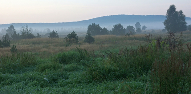 świętokrzyskie