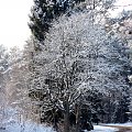 Zima w Gołdapi