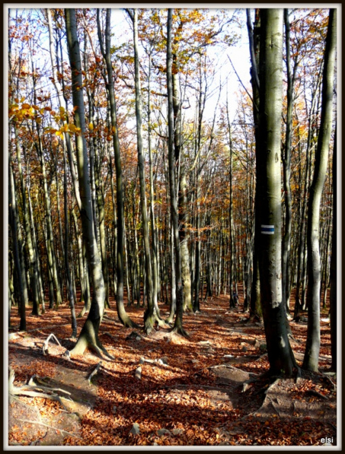 Bieszczady #PodróżeMałeIDuże