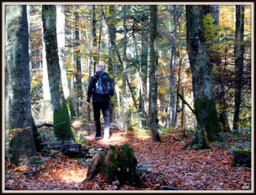 Bieszczady #PodróżeMałeIDuże