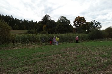 #spacer #KlasaII #jesień