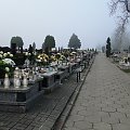 Zaduszkowy spacer po cmentarzu #cmentarz