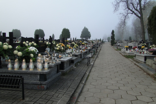 Zaduszkowy spacer po cmentarzu #cmentarz