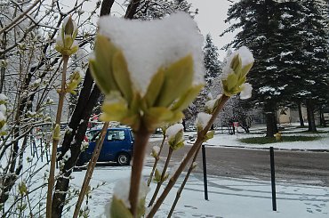 #góry #Tatry #Zakopane