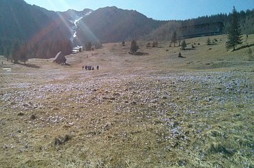 Wiosną na Kalatówkach #góry #Tatry #Zakopane