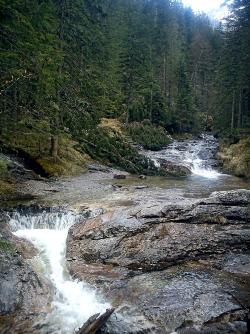 #góry #Tatry #Zakopane