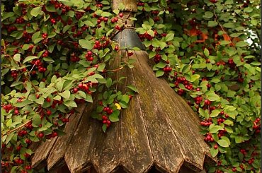 Przy cmentarzu na Pęksowym Brzyzku w Zakopanem #Zakopane