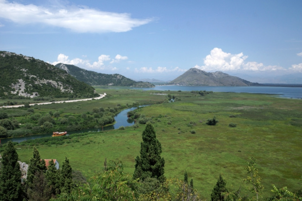 Jezioro Szkoderskie, Czarnogóra