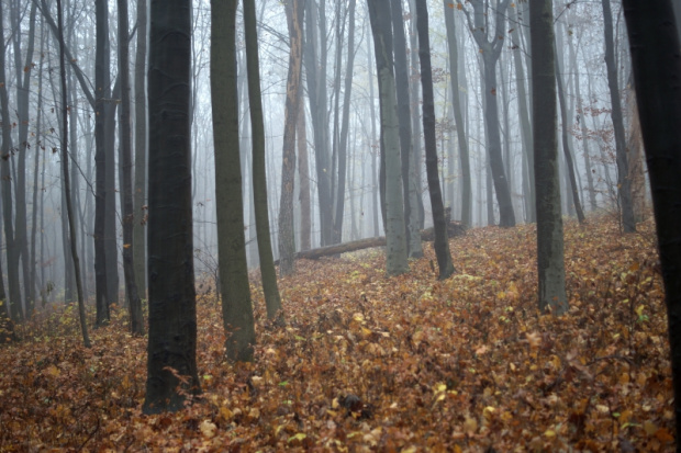 świętokrzyskie, Kielce