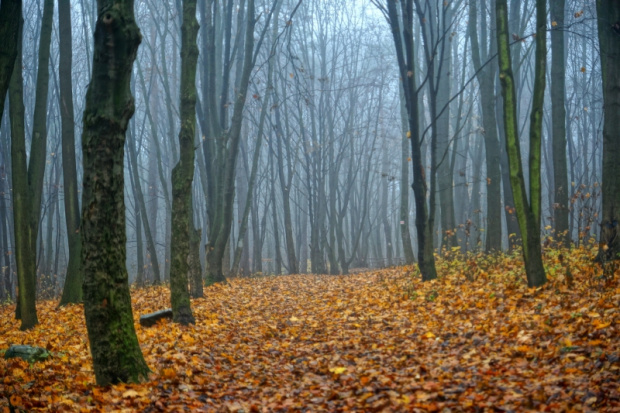 świętokrzyskie, Kielce