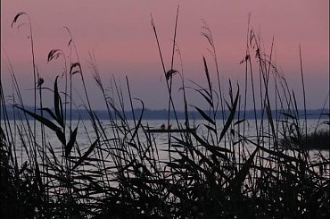 #Mazury #żagle #pies #wakacje