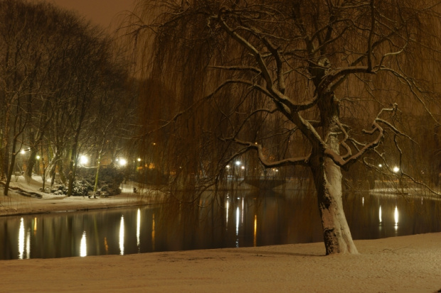 KIELCE, świętokrzyskie