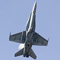 McDonnell Douglas F-18 C Hornet, Finland - Air Force