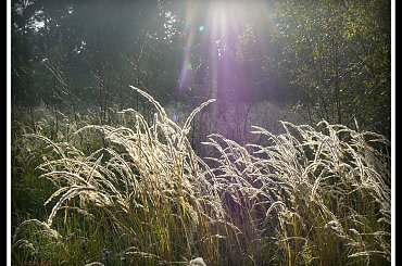 pod swiatlo #krople #pajaki #PrawieJesień