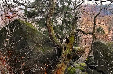 skały na górze Bismarcka - Staniszów #góry #skały