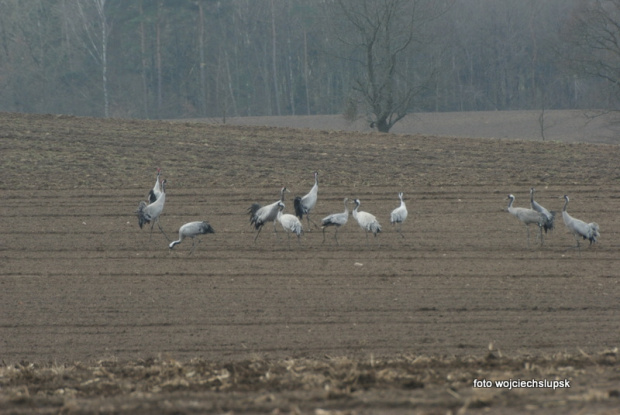 weekend był