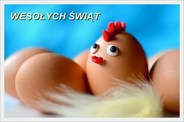 Wszystkim Fotosikowcom, oraz Redakcji życzę zdrowych, radosnych Świąt Wielkanocnych :) #jajka #kogutek #Święta #Wielkanoc
