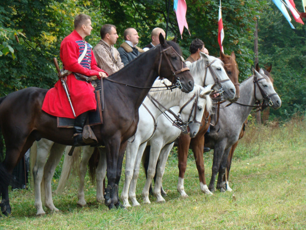 Spokojna na razie konnica