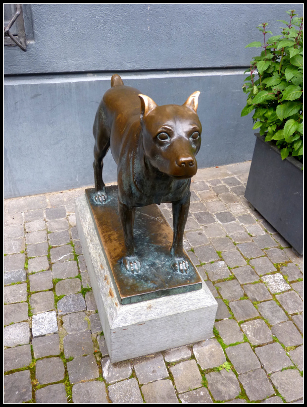 Stein am Rhein- ten pies strzeze wejscia do muzeum #architektura