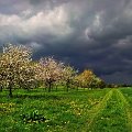 Dla Tych, którym jest bliska natura, bezchmurnego nieba i słoneczka życzę !! Miłej niedzieli :))