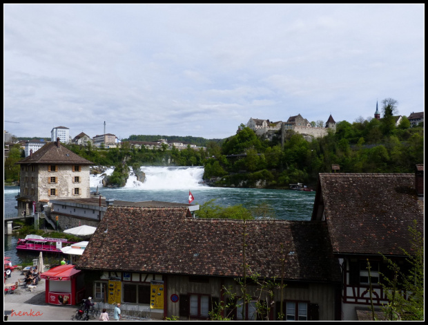 Rheinfall wodospad-największy w Europie pod względem przepływu wody-letni przepływ 600m3/s #przyroda