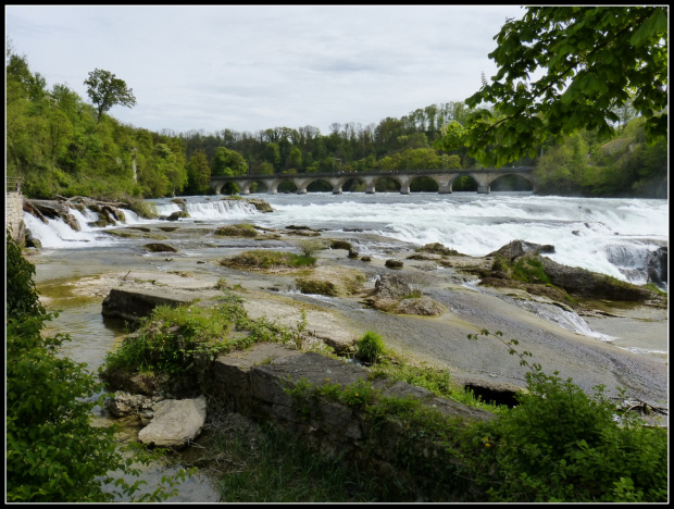 Rheinfall wodospad #przyroda