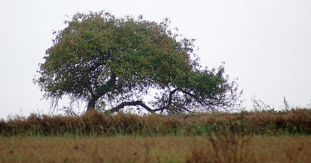 świętokrzyskie