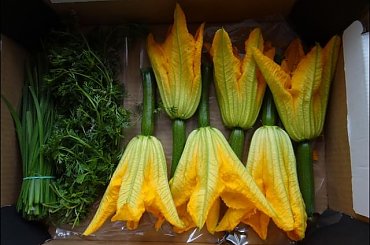 Zakupy u Majlertów #KwiatyCukiniiCukinia