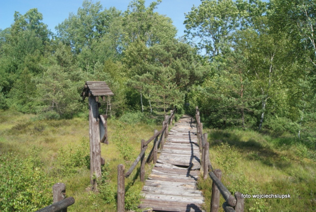Spacerek w Słowińskim Parku Narodowym