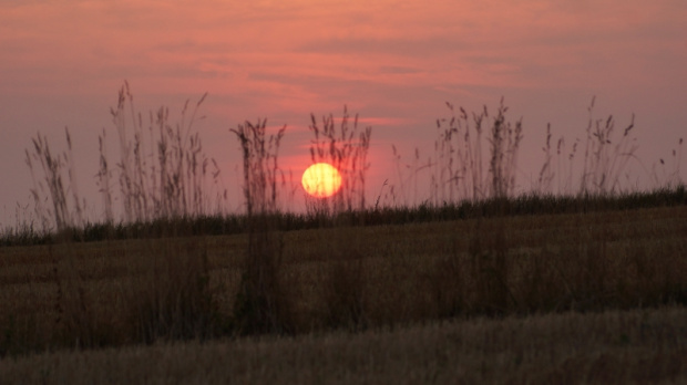 świętokrzyskie