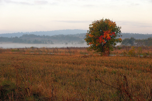 świętokrzyskie
