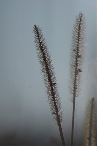świętokrzyskie